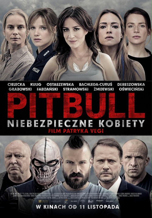 Pitbull.Tough.Women.2016.1080p.BluRay.DTS.x264-FTO – 12.3 GB