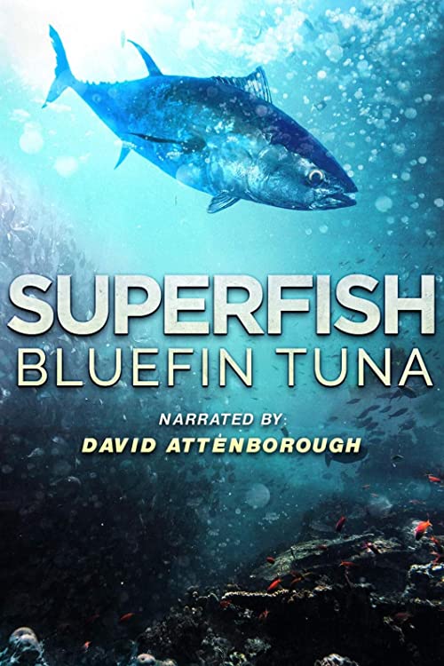 Superfish.Bluefin.Tuna.2012.1080p.AMZN.WEB-DL.DDP.2.0.H264-AMC – 4.6 GB