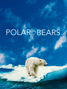 Polar.Bears.2020.1080p.WEB.H264-BIGDOC – 3.0 GB