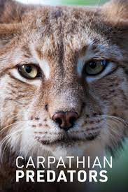 Carpathian.Predators.S01.1080p.NOW.WEB-DL.AAC2.0.H.264-NTb – 5.2 GB