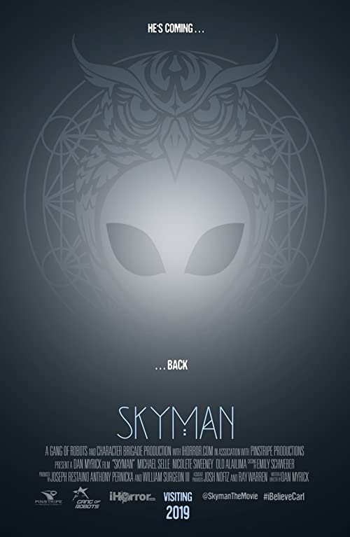 Skyman.2020.720p.WEB.h264-PFa – 1.6 GB