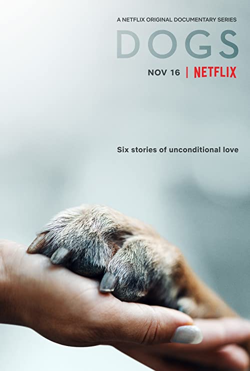 Dogs.S02.720p.NF.WEB-DL.DDP5.1.H.264-NTb – 5.6 GB