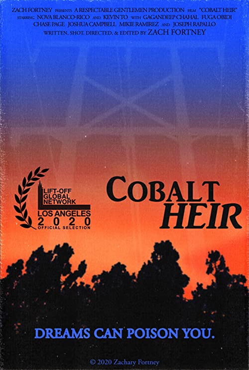 Cobalt.Heir.2020.1080p.AMZN.WEB-DL.DDP2.0.H.264-WORM – 4.1 GB