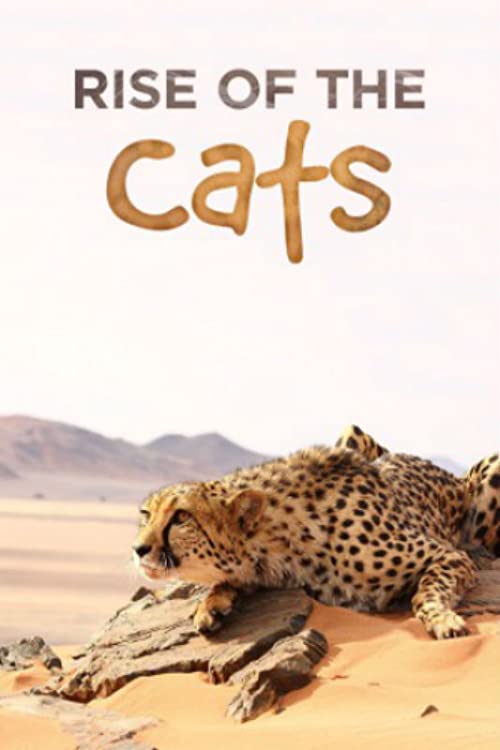 Big.Cats.An.Amazing.Animal.Family.S01.1080p.NOW.WEB-DL.DDP5.1.H.264-NTb – 5.0 GB