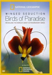 Winged.Seduction.Birds.of.Paradise.2012.1080p.DSNP.WEB-DL.DDP.5.1.H.264-FLUX – 2.7 GB