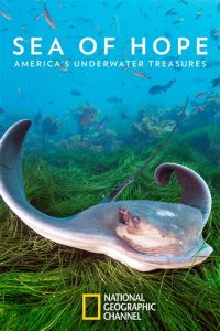 Sea.of.Hope.Americas.Underwater.Treasures.2017.1080p.DSNP.WEB-DL.DDP.5.1.H.264-FLUX – 2.9 GB