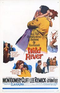 Wild.River.1960.1080p.BluRay.REMUX.AVC.DTS-HD.MA.2.0-EPSiLON – 20.8 GB