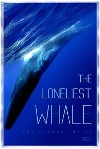 The.Loneliest.Whale.The.Search.For.52.2021.1080p.WEB.h264-RUMOUR – 6.0 GB