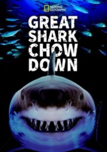 Great.Shark.Chow.Down.2019.1080p.DSNP.WEB-DL.DDP5.1.H.264-FLUX – 2.7 GB
