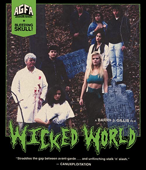 Wicked.World.1991.DC.720P.BLURAY.X264-WATCHABLE – 2.4 GB