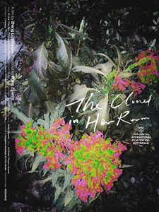 The.Cloud.in.Her.Room.2020.1080p.WEB-DL.AAC2.0.x264-tG1R0 – 4.2 GB