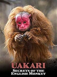 Uakari.Secrets.of.the.English.Monkey.2009.1080p.AMZN.WEB-DL.AAC2.0.H.264-monkee – 3.4 GB