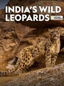 Indias.Wild.Leopards.2020.1080p.DSNP.WEB-DL.DDP5.1.H.264-FLUX – 2.7 GB