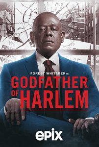 Godfather.of.Harlem.S02.720p.WEB-DL.DDP5.1.H.264-NTb – 14.4 GB
