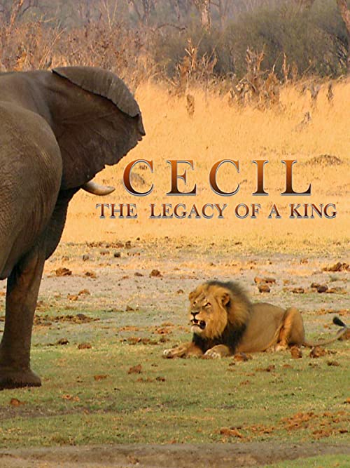 Cecil.The.Legacy.of.a.King.2021.1080p.WEB-DL.AAC2.0.H.264-WILD – 1.1 GB