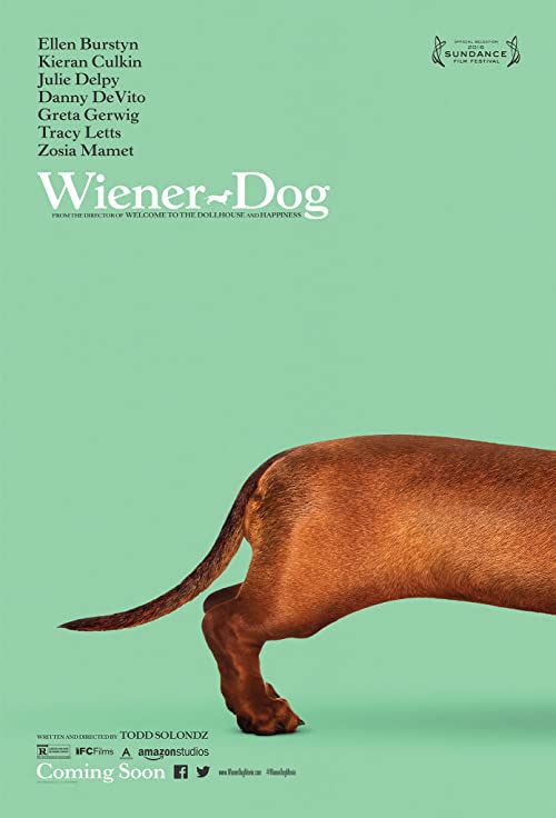 Wiener-Dog.2016.LiMiTED.1080p.BluRay.x264-SADPANDA – 6.6 GB