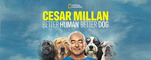 Cesar.Millan.Better.Human.Better.Dog.S01.1080p.DSNP.WEB-DL.DDP5.1.H.264-NTb – 23.2 GB