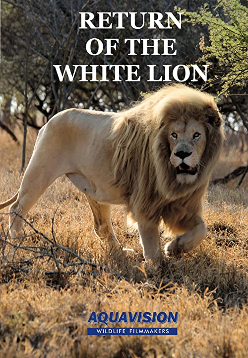Return of the White Lion
