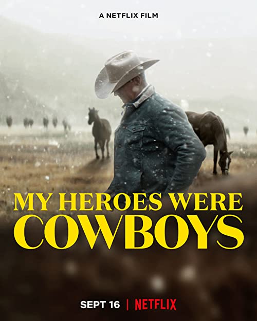 My.Heroes.Were.Cowboys.2021.720p.NF.WEB-DL.DD5.1.x264-KHN – 415.7 MB