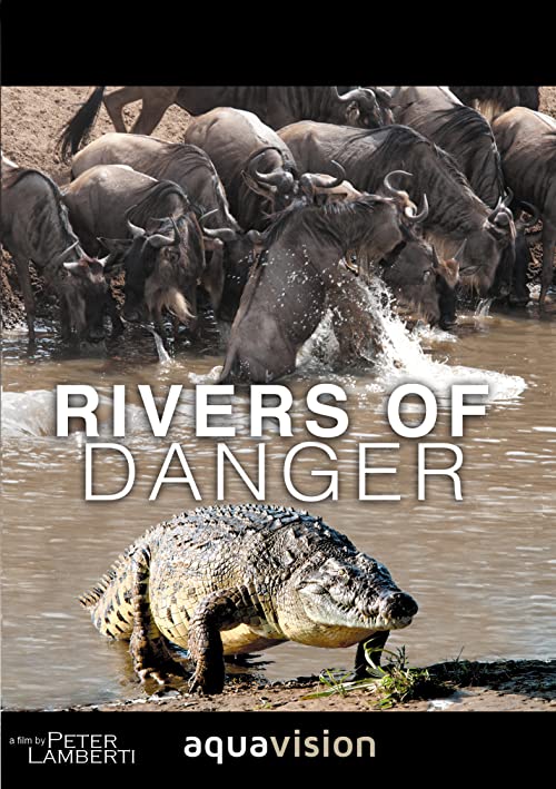 Rivers.of.Danger.2004.1080p.AMZN.WEB-DL.DDP2.0.H.264-SMALLDOC – 3.5 GB