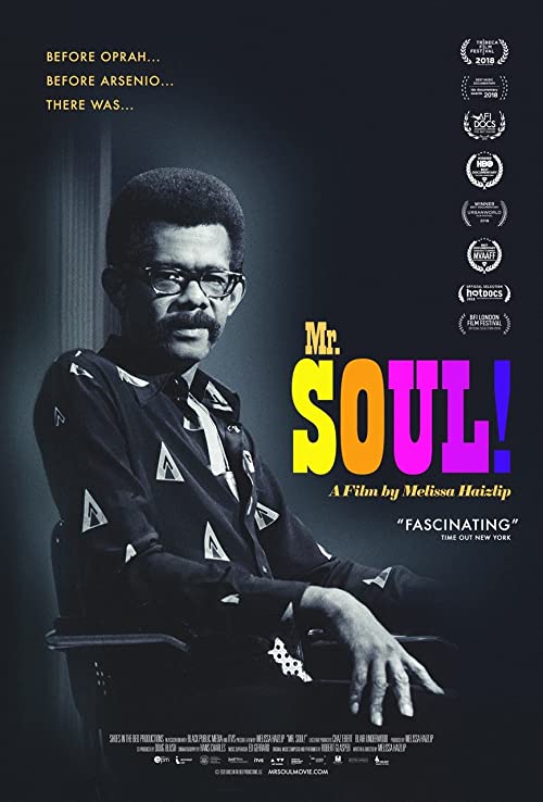Mr.SOUL.2018.720p.WEB.h264-OPUS – 2.8 GB