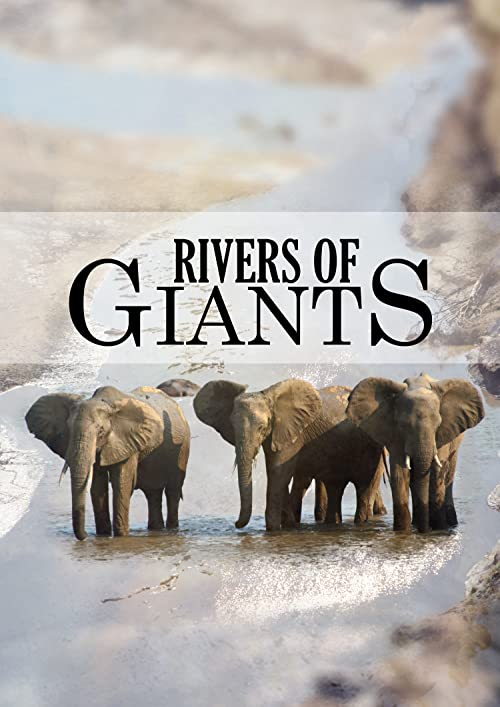 Rivers.of.Giants.2005.1080p.AMZN.WEB-DL.DDP2.0.H.264-SMALLDOC – 3.4 GB