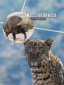Massive.Africa.Mala.Mala.2019.1080p.AMZN.WEB-DL.DDP2.0.H.264-SMALLDOC – 3.5 GB