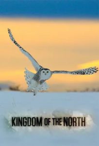 Kingdom.of.the.North.S01.1080p.AMZN.WEB-DL.DD+5.1.x264-Cinefeel – 14.2 GB