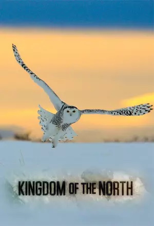 Kingdom.of.the.North.S01.1080p.AMZN.WEB-DL.DD+5.1.x264-Cinefeel – 14.2 GB