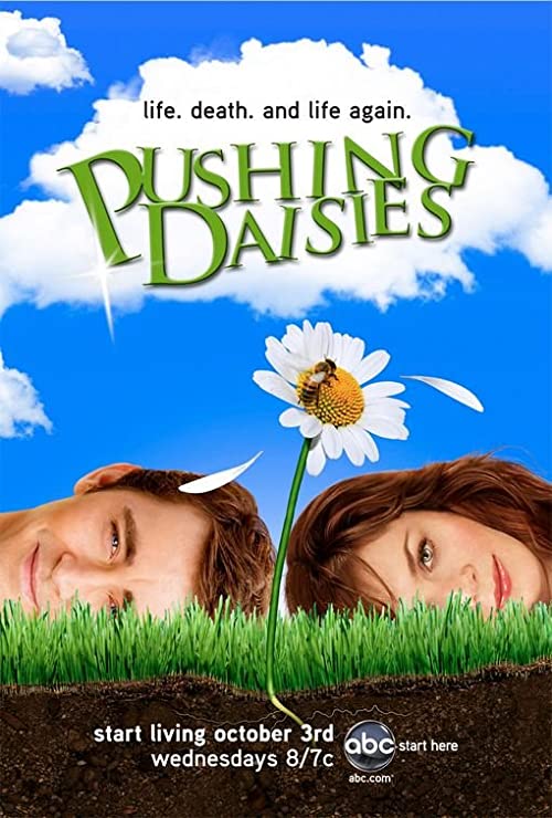 Pushing.Daisies.S01.1080p.BluRay.x264-CtrlHD – 39.3 GB