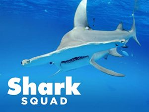 Shark.Squad.S01.2160p.PMTP.WEB-DL.AAC2.0.H.265-NTb – 9.5 GB