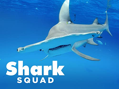 Shark.Squad.S01.2160p.PMTP.WEB-DL.AAC2.0.H.265-NTb – 9.5 GB