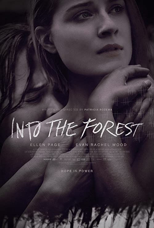 Into.the.Forest.2015.1080p.Blu-ray.Remux.AVC.DTS-HD.MA.5.1-KRaLiMaRKo – 27.3 GB