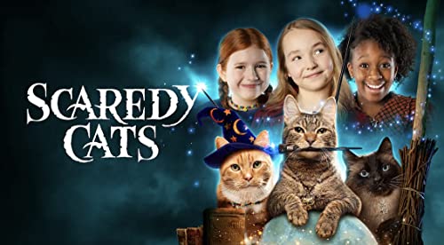 Scaredy.Cats.S01.720p.NF.WEB-DL.DDP5.1.x264-NPMS – 7.4 GB