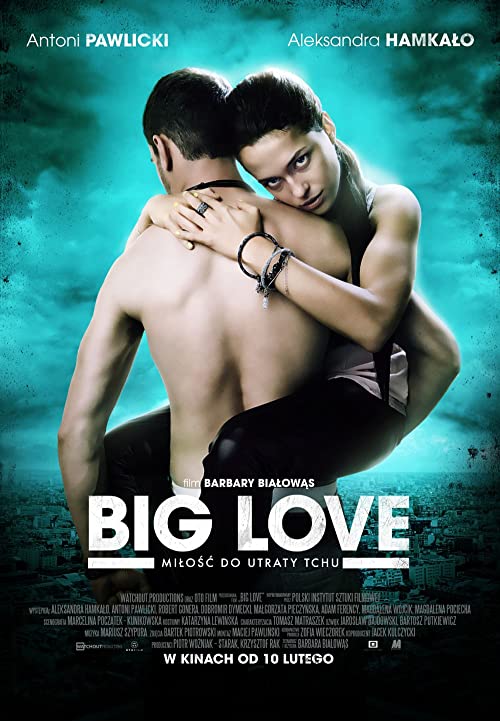 Big.Love.2012.720p.WEB.H264-FLAME – 2.2 GB