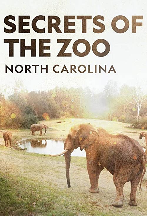 Secrets.of.the.Zoo.North.Carolina.S01.720p.DSNP.WEB-DL.DDP5.1.H.264-NTb – 10.4 GB