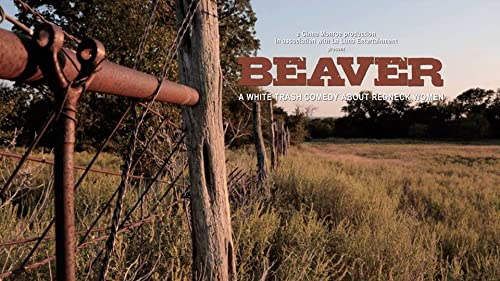 Beaver.2018.720p.WEB.h264-DiRT – 532.1 MB