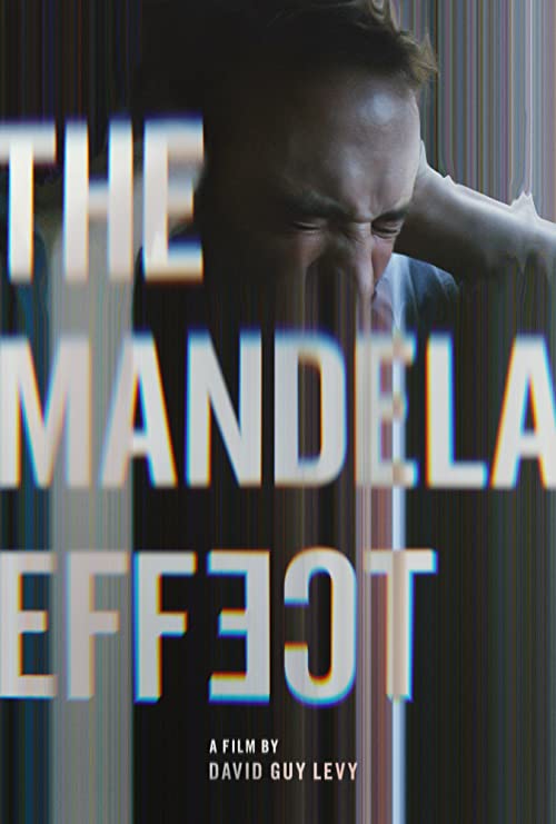 The.Mandela.Effect.2019.720p.WEB.h264-SKYFiRE – 1.2 GB