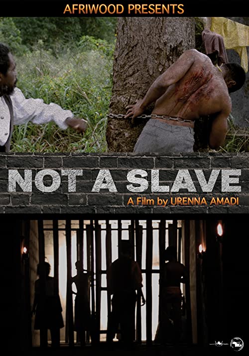Not.A.Slave.2021.720p.WEB.h264-PFa – 1.4 GB