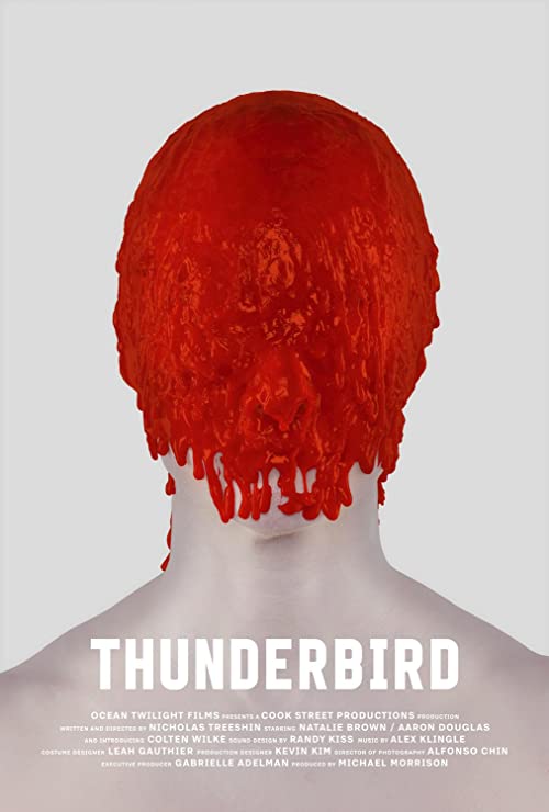 Thunderbird.2019.720p.BluRay.x264-GUACAMOLE – 2.2 GB