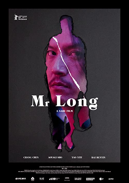 Mr.Long.2017.720p.BluRay.DD5.1.x264-DON – 6.9 GB