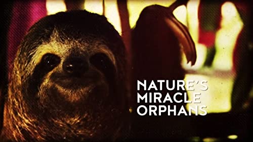 Natures.Miracle.Orphans.S02.1080p.WEB-DL.DDP2.0.H.264-squalor – 17.3 GB