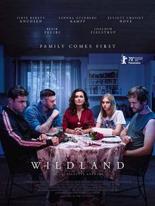 Wildland.2020.720p.BluRay.x264-BiPOLAR – 2.2 GB
