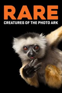 Photo.Ark.S02.1080p.DSNP.WEB-DL.AAC2.0.H.264-NTb – 4.7 GB