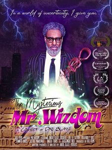 The.Mysterious.Mr.Wizdom.2021.1080p.AMZN.WEB-DL.AAC2.0.H.264-EVO – 5.8 GB