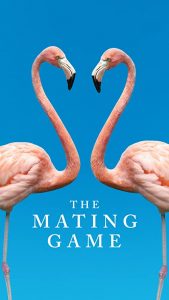 The.Mating.Game.2021.S01.1080p.iP.WEB-DL.AAC2.0.H.264-NTb – 19.7 GB