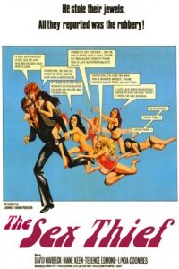 The.Sex.Thief.1973.1080p.BluRay.REMUX.AVC.FLAC.1.0-EPSiLON – 15.8 GB