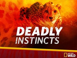 Deadly.Instincts.S01.720p.DSNP.WEB-DL.DDP5.1.H.264-playWEB – 8.1 GB