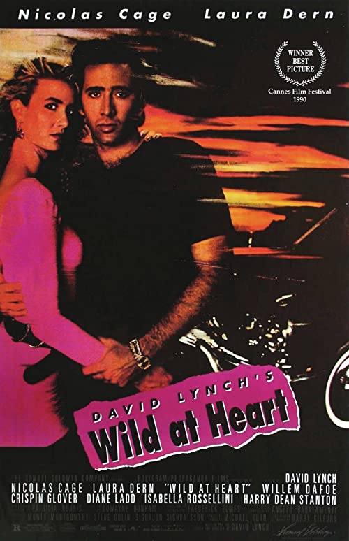 wild at heart shout factory blu ray review