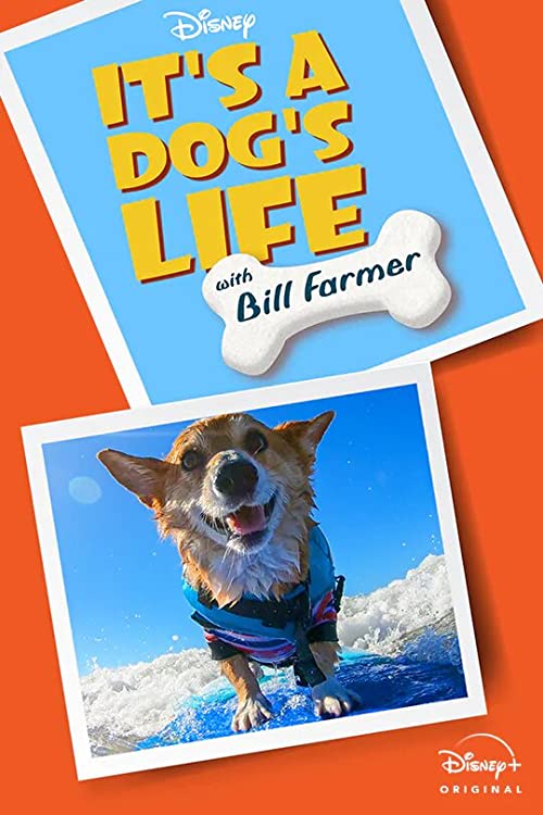 Its.a.Dogs.Life.With.Bill.Farmer.S01.720p.DSNP.WEB-DL.DDP5.1.H.264-playWEB – 6.7 GB